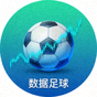 足球数据爱好者头像